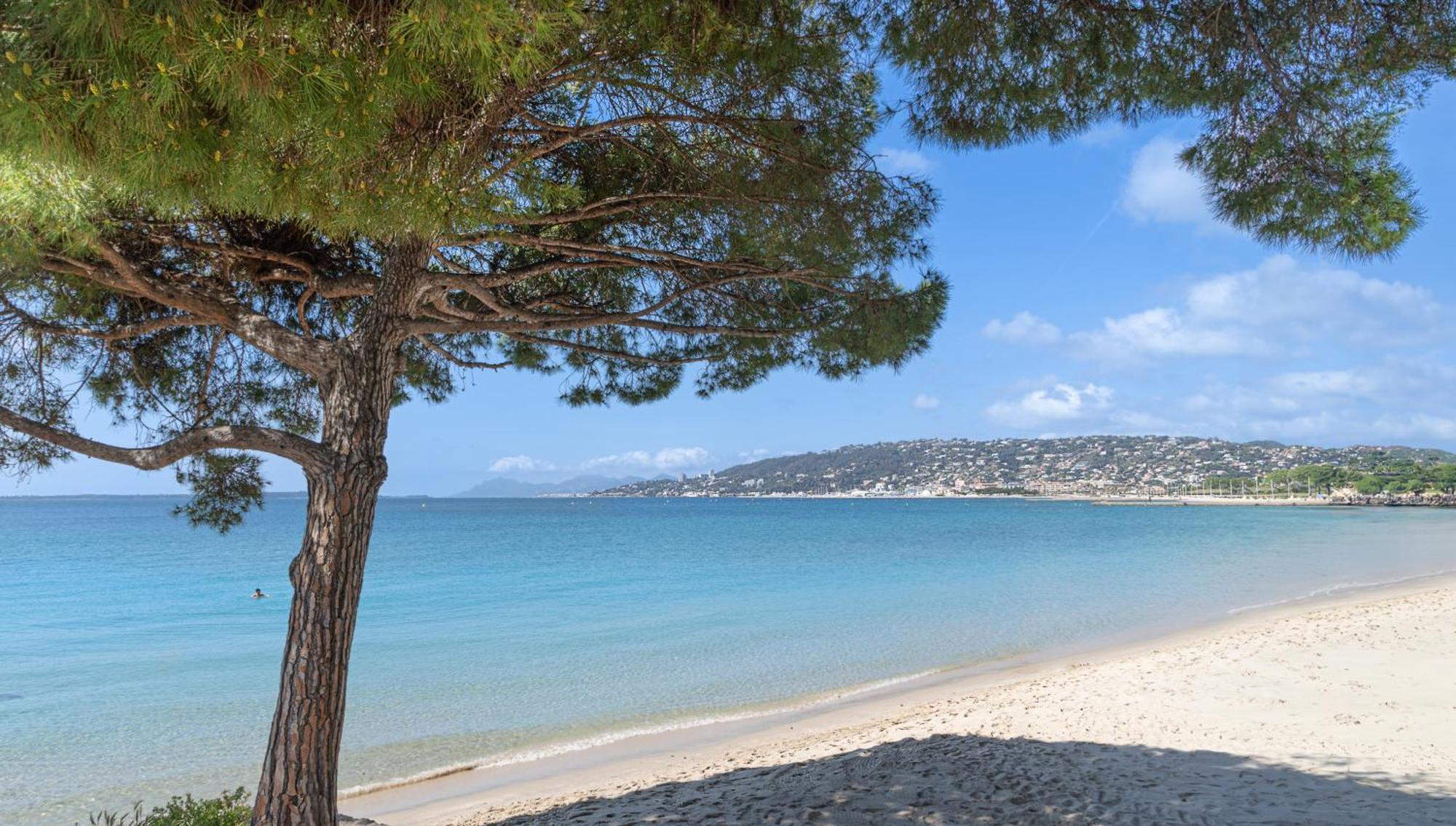 Les 15 Pins & La Mer -Your Green Getaway Near Sea & Beach Antibes Exteriör bild